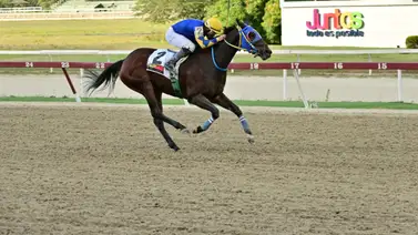 Este es el primer retirado para la reunión 14 en La Rinconada Este es el primer retirado para la reunión 14 en La Rinconada