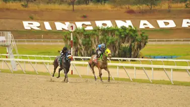 Jesús Romero reaparece a esta castaña luego de 70 días sin correr Jesús Romero reaparece a esta castaña luego de 70 días sin correr