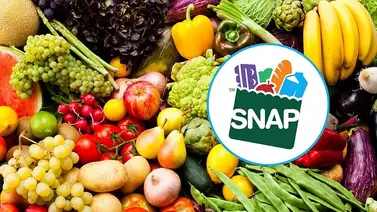 Cupones SNAP: Los beneficiarios podrían recibir hasta $1.751 en estos estados Cupones SNAP: Los beneficiarios podrían recibir hasta $1.751 en estos estados