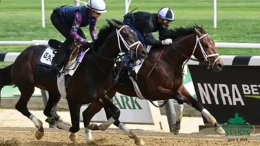 Debuta ejemplar que costó $1.050.000 este sábado en Estados Unidos Debuta ejemplar que costó $1.050.000 este sábado en Estados Unidos