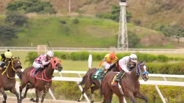 Hijo de Vacation vuelve a la pista luego de un paro de 210 días Hijo de Vacation vuelve a la pista luego de un paro de 210 días