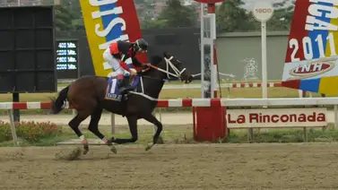 Debuta hijo de un triple coronado y campeón del Caribe en La Rinconada Debuta hijo de un triple coronado y campeón del Caribe en La Rinconada