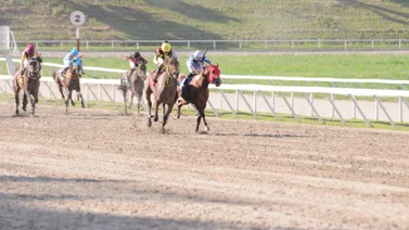 Antonio Bellardi hace debutar hija de Champlain este domingo en La Rinconada