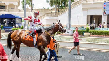 Aquí el Best bet y los Tips para Gulfstream Park 11-04-2024