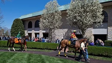 Aquí el Best Bet y los Tips para Keeneland 11-04-2024