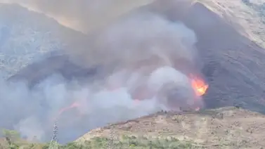 Reportan incendios forestales en la ciudad de Caracas Reportan incendios forestales en la ciudad de Caracas