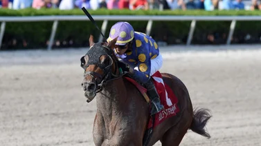 Entrenador ganador de la Breeder’s Cup se retira este domingo