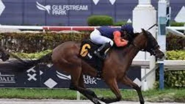 Sonny León vuelve a ganar en Gulfstream Park después de este tiempo 