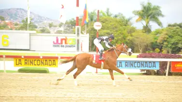 Así ajustó Anatolia para el Clásico Manuel Fonseca Arroyal (+video) Así ajustó Anatolia para el Clásico Manuel Fonseca Arroyal (+video)