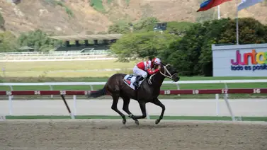 Mira el ajuste de este pupilo de Germán Rojas en La Rinconada Mira el ajuste de este pupilo de Germán Rojas en La Rinconada