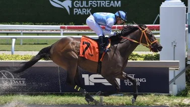 Trainer venezolano vuelve a ganar en Gulfstream Park luego de este tiempo 