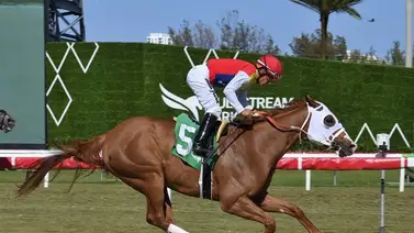 Víctor Barboza Jr. cierra con broche de oro el viernes en Gulfstream Park Víctor Barboza Jr. cierra con broche de oro el viernes en Gulfstream Park