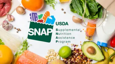 Cupones SNAP: ¿Cuáles estados enviarán dinero la próxima semana? Cupones SNAP: ¿Cuáles estados enviarán dinero la próxima semana?