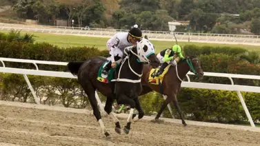 Mira el aparatazo de la pupila de Jesús Romero en La Rinconada Mira el aparatazo de la pupila de Jesús Romero en La Rinconada