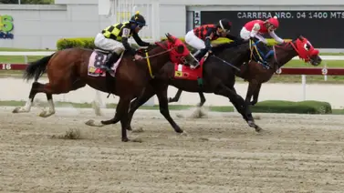 Datos de Última Hora para el Hipódromo La Rinconada 14-4-2024 Datos de Última Hora para el Hipódromo La Rinconada 14-4-2024