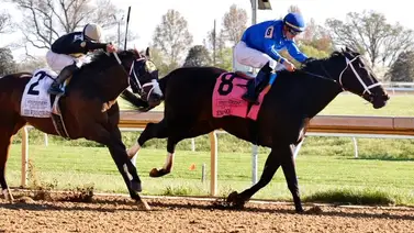 Caballo invicto en el 2024 gana última clasificatoria del Kentucky Derby Caballo invicto en el 2024 gana última clasificatoria del Kentucky Derby