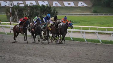 Favoritos de la cátedra del 5y6 nacional para la reunión 14 en La Rinconada Favoritos de la cátedra del 5y6 nacional para la reunión 14 en La Rinconada