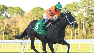 Yunta venezolana estará en la edición 150 del Kentucky Derby Yunta venezolana estará en la edición 150 del Kentucky Derby