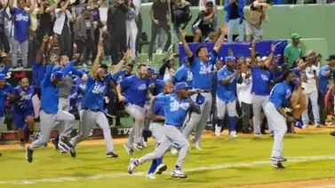 LIDOM: ¡Sacudida de mata! Este es el nuevo cambio para la temporada 2024-2025 LIDOM: ¡Sacudida de mata! Este es el nuevo cambio para la temporada 2024-2025