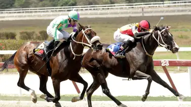 5y6 nacional paga más de $1.200 en la Reunión 14 en La Rinconada 5y6 nacional paga más de $1.200 en la Reunión 14 en La Rinconada