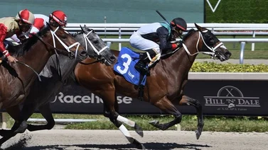Trainer criollo logra su primer triunfo en Gulfstream Park con Emisael Jaramillo