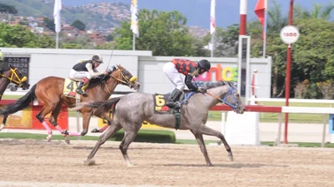 Esto informó el jinete de Mo Cuishle luego de su carrera en La Rinconada