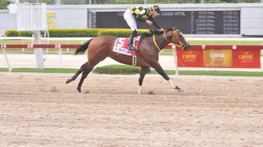 Esta fue la razón del retiro de Mi Querida Emma ayer en La Rinconada Esta fue la razón del retiro de Mi Querida Emma ayer en La Rinconada