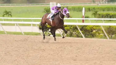 Esto fue lo que le pasó al ejemplar Li Tre Fratelli ayer en La Rinconada Esto fue lo que le pasó al ejemplar Li Tre Fratelli ayer en La Rinconada