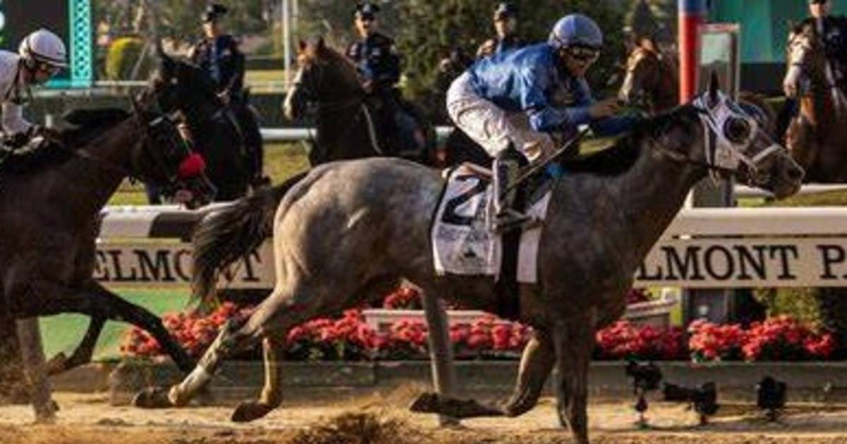 Mira cómo y dónde será el Belmont Stakes Racing Festival de 2024