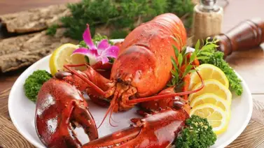 La Langosta: Tesoro del Mar y Delicia Gastronómica La Langosta: Tesoro del Mar y Delicia Gastronómica