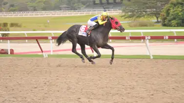 El de Froix por la repetida en el Clásico Presidente de la República GI en La Rinconada El de Froix por la repetida en el Clásico Presidente de la República GI en La Rinconada