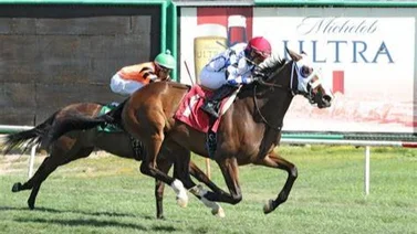 Aquí los jockeys venezolanos más ganadores de la semana en Estados Unidos