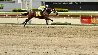 Daniela Runner a mantener el invicto del 2024 en el Clásico Blondy GIII el domingo en La Rinconada Daniela Runner a mantener el invicto del 2024 en el Clásico Blondy GIII el domingo en La Rinconada