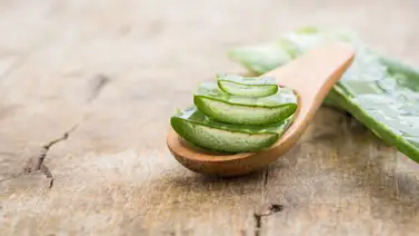 Para qué sirve la sábila: 3 posibles usos de esta planta milagrosa Para qué sirve la sábila: 3 posibles usos de esta planta milagrosa