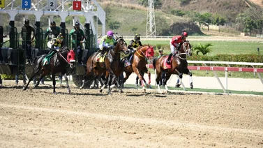 Ejemplares de importante Stud en La Rinconada cambia de entrenador