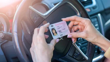 Licencia Clase D: ¿Para qué sirve y cómo obtenerla?