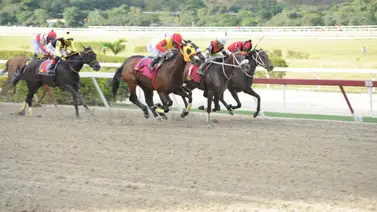 Ramón García reaparece hija de King Seraf que tiene 161 días sin competir  Ramón García reaparece hija de King Seraf que tiene 161 días sin competir