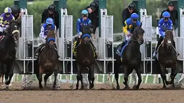 Jockey mexicano gana el meeting en este óvalo de Estados Unidos Jockey mexicano gana el meeting en este óvalo de Estados Unidos