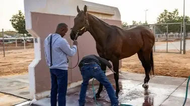 Este es el plan para Señor Buscador en 2024 Este es el plan para Señor Buscador en 2024