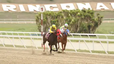 Dotwing Fernández reaparece a esta yegua con 133 días sin presentación pública en La Rinconada Dotwing Fernández reaparece a esta yegua con 133 días sin presentación pública en La Rinconada