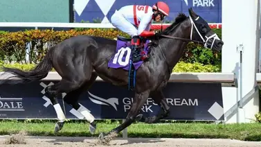 Entrenador venezolano es galardonado en Estados Unidos Entrenador venezolano es galardonado en Estados Unidos