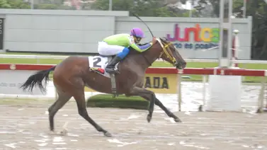 King Miggy reaparece luego de 77 días y estrena cuadra en La Rinconada King Miggy reaparece luego de 77 días y estrena cuadra en La Rinconada