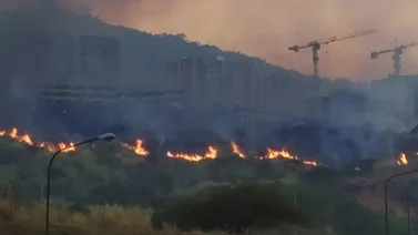 ¡Urgente! Incendio forestal consume la vegetación en El Hatillo