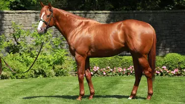 Sigue la novela con Justify mira lo que hacen ahora sus conexiones Sigue la novela con Justify mira lo que hacen ahora sus conexiones