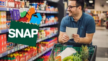 Requisitos para nuevas solicitudes de cupones SNAP en mayo