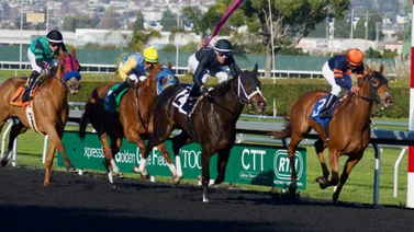 Estos jockeys venezolanos ganaron ayer martes en Park Racing