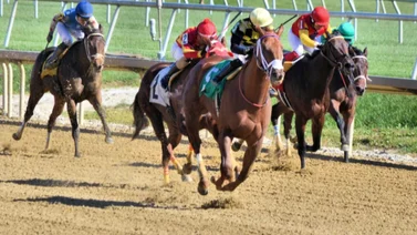 Jockey puertorriqueño designado el mejor de la semana en Estados Unidos
