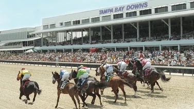 Trainer campeón en Venezuela es el más destacado en Tampa Bay Downs