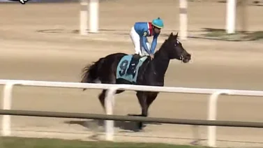 Jockey venezolano duplica en la jornada del miércoles en Tampa Bay Down