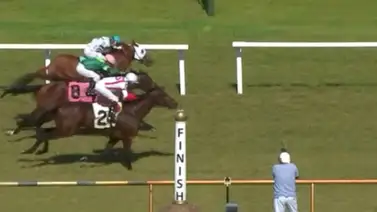 Jockey criollo gana increíble carrera con caballo de este entrenador campeón Jockey criollo gana increíble carrera con caballo de este entrenador campeón